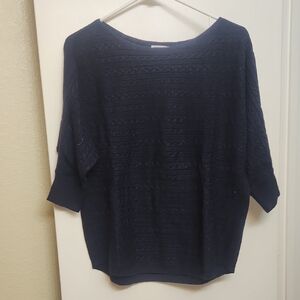 Market & Spruce Navy Blue Knit Sweater